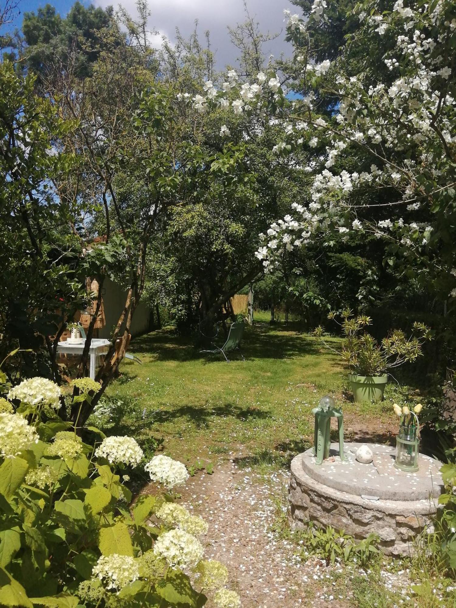 Maison " Bouton D'Or" Au Bord De L'Eau, A 10 Mn De Tours , Meuble Classe Une Etoile Saint-Avertin Exteriör bild